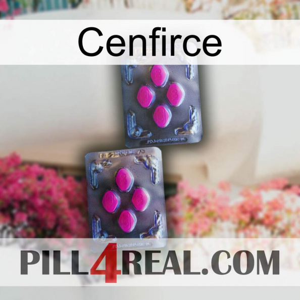Cenfirce 01.jpg